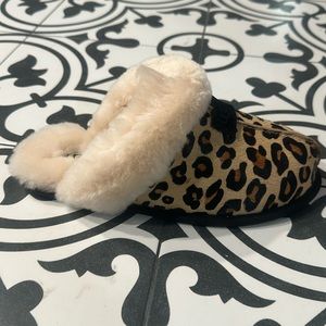 Brand new UGG slippers in the box never worn size 7